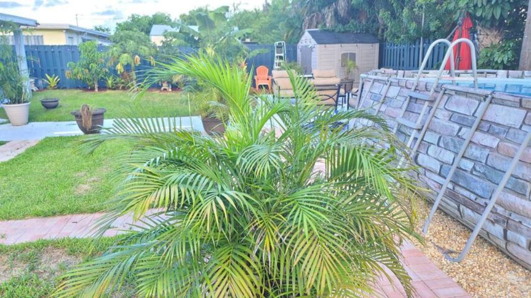 Palm Springs 3-Bedroom 2-Bath 5 Miles To The Beach Lake Worth Beach Exteriér fotografie